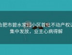 合肥市碧水家园小区首批不动产权证集中发放，业主心病得解