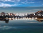 华为财经人力资源部杨**：人力资源三支柱模型的概念与解析