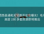 肥西县通和天誉首开信息曝光！毛坯高层 190 多套房源即将推出