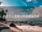 员工个人发展计划成果展示表