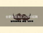 合肥市瑶海区2024年招聘