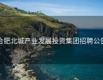 合肥北城产业发展投资集团招聘公告