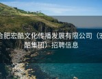 合肥宏酷文化传播发展有限公司（宏酷集团）招聘信息