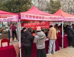 江汉区抗疫关键期多措并举，稳就业：加强宣传与调整招聘会形式