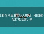 合肥花鸟鱼虫市场大揭秘，和闺蜜一起打造温馨小窝