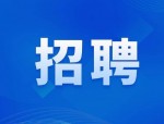 巴南区招聘270名社区专职人员，沙坪坝区选拔500名后备人选，速看