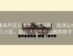 鲁谷片区沁上水、玉兴园、远洋山水三小区，如何选择性价比高的房子？