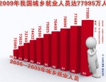 合肥市发布人力资源发展状况白皮书，全面反映现状并具指导意义
