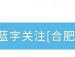 线下+云端！新站这两场招聘会，让就业服务“零距离”！