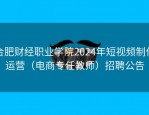 合肥财经职业学院2024年短视频制作运营（电商专任教师）招聘公告