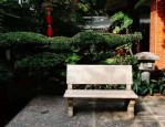 合肥裕丰花鸟虫鱼市场：闹市中的世外桃源，周末游玩好去处