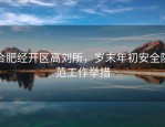 合肥经开区高刘所，岁末年初安全防范工作举措