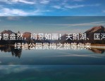春意盎然，梅景如画！天鹅湖、匡河、绿轴公园赏梅之旅等你来