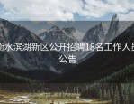 衡水滨湖新区公开招聘18名工作人员公告