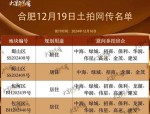 合肥12月16宗涉宅地块拍卖，政务区红四方地块供应182亩居住用地