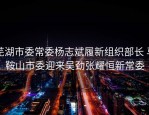 芜湖市委常委杨志斌履新组织部长 马鞍山市委迎来吴劲张耀恒新常委