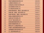 2024年合肥企业50强榜单揭晓：联宝科技稳居榜首，阳光电源跃居第二