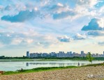 合肥初夏，在高颜值公园里寻觅最美踪迹
