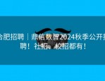 合肥招聘｜鼎信数智2024秋季公开招聘！社招、校招都有！