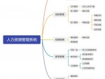 2025年我市人力资源市场管理系统上线，提升信息化水平