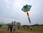 2025中国·合肥全国风筝邀请赛暨文化嘉年华：传统与创新风筝空中争艳