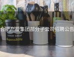 合肥产投集团部分子公司招聘公告