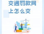 合肥试点交通违法处罚线下缴款，支付宝微信支付便捷群众办理