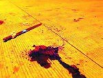 合肥警方侦破海豹讨债公司聚众斗殴案，团伙作恶终被一网打尽