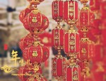 2020合肥年货展盛大开幕：双会场齐聚，感受传统年味与购物乐趣