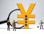 合肥安巢经开区发放 100 万元购车补贴，快来申领