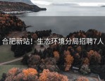合肥新站！生态环境分局招聘7人