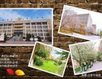 合肥市第四十六中学：春日校园，幸福少年成长的地方
