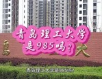 中国理工类高校命名方式的多元化与专业化趋势