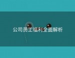 公司员工福利全面解析