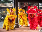 五一游宝墨园：领略岭南文化精髓，感受古典与现代交织之美