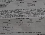 合肥宠物医院疫苗接种量激增，文明养犬成热议话题