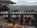 合肥招聘 | 安徽博微联控科技有限公司招聘（五险一金、年终奖金）
