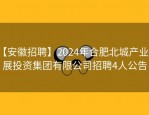 【安徽招聘】2024年合肥北城产业发展投资集团有限公司招聘4人公告