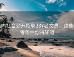 面向社会公开招聘237名文员，这些报考条件你得知道