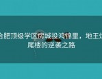 合肥顶级学区房城投鸿锦里，地王烂尾楼的逆袭之路