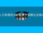 人力资源状况分析表：洞察企业核心力量