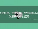 合肥招聘，安徽大学丨安徽特色小镇发展研究中心招聘