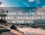 合肥天鹅湖匡河富人区揭秘：政务区豪宅聚集地，绿地内森庄园与华润凯旋门成富人首选