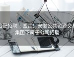 合肥招聘｜国企！安徽公共资源交易集团下属子公司招聘