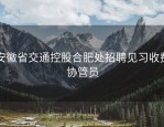 安徽省交通控股合肥处招聘见习收费协管员