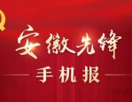 枞阳网：提供多项服务，还有更多资讯等你来