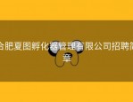 合肥夏图孵化器管理有限公司招聘简章