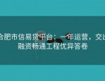 合肥市信易贷平台：一年运营，交出融资畅通工程优异答卷