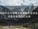 株洲市召开献策十四五网友座谈会，市委常委聂方红出席