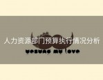 人力资源部门预算执行情况分析